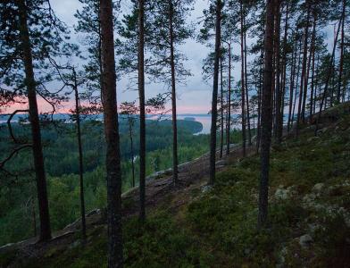 Лаукаа (Laukaa)