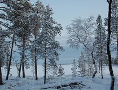 Неллим (Nellim) 